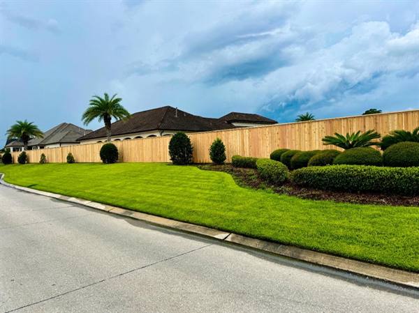 Cedar privacy fence curving along a palm-lined street