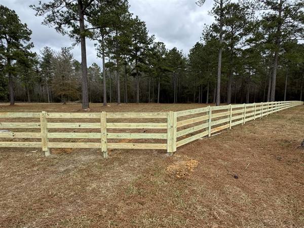 Four-rail wooden fence running through a pine-lined pasture