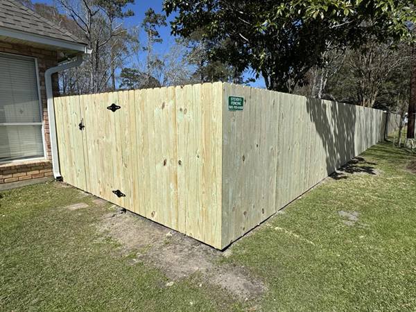 Treated pine privacy fence corner with a gate under a magnolia tree