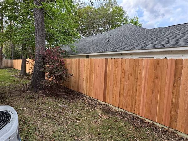 Cedar privacy fence tucked behind azaleas along a side yard