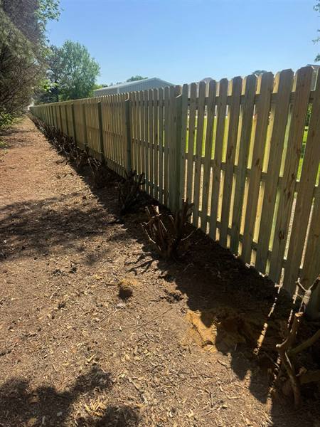 Treated pine picket fence along a garden path