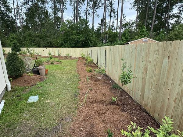 Treated pine privacy fence behind fresh garden beds