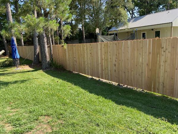 Cedar privacy fence beneath tall pines