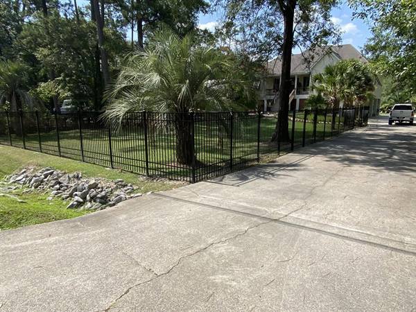 Black aluminum fence around a palm-shaded front yard