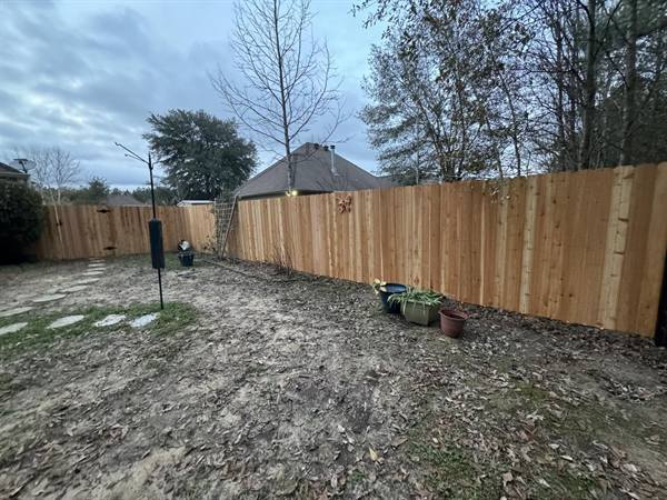 Treated pine privacy fence across a backyard at dusk