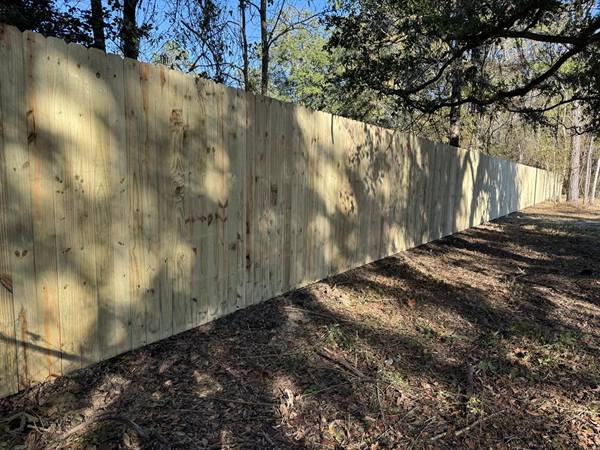 Treated pine privacy fence along a tree-lined property